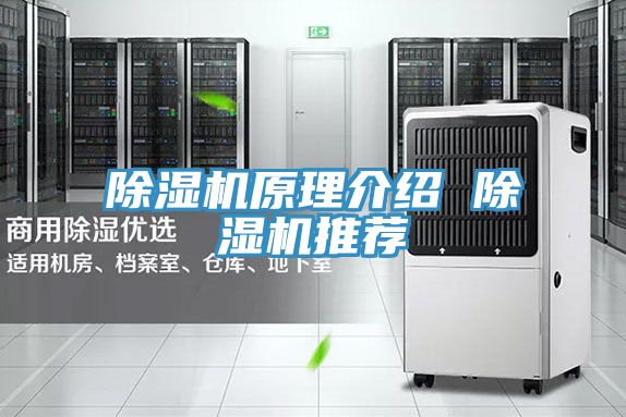 小黄片直播视频原理介绍 小黄片直播视频推荐