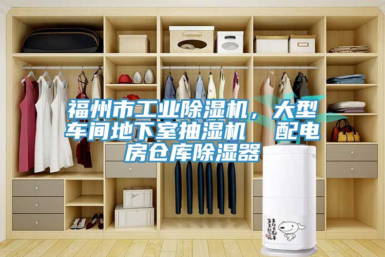 福州市工业小黄片直播视频，大型车间地下室抽湿机  配电房仓库除湿器