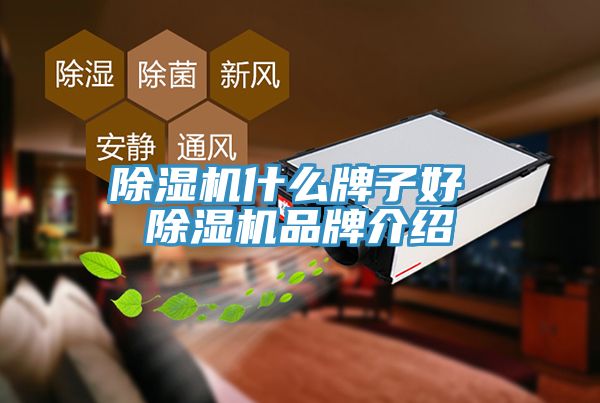 小黄片直播视频什么牌子好 小黄片直播视频品牌介绍