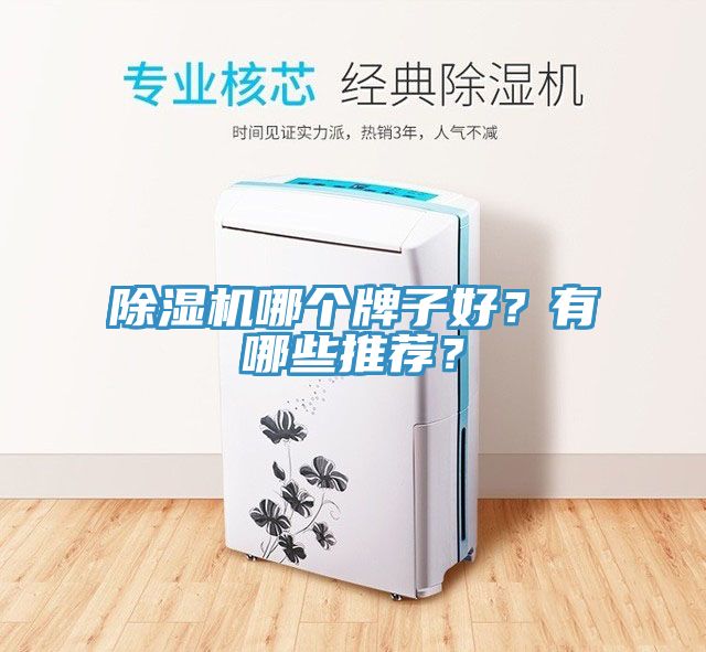 小黄片直播视频哪个牌子好？有哪些推荐？