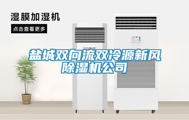 盐城双向流双冷源新风小黄片直播视频公司