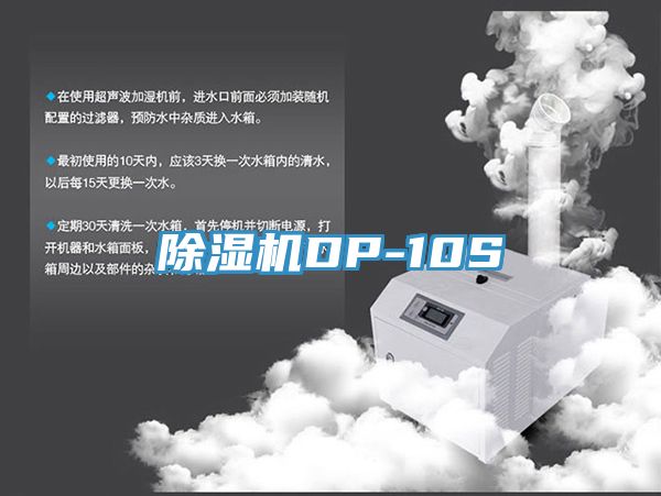 小黄片直播视频DP-10S