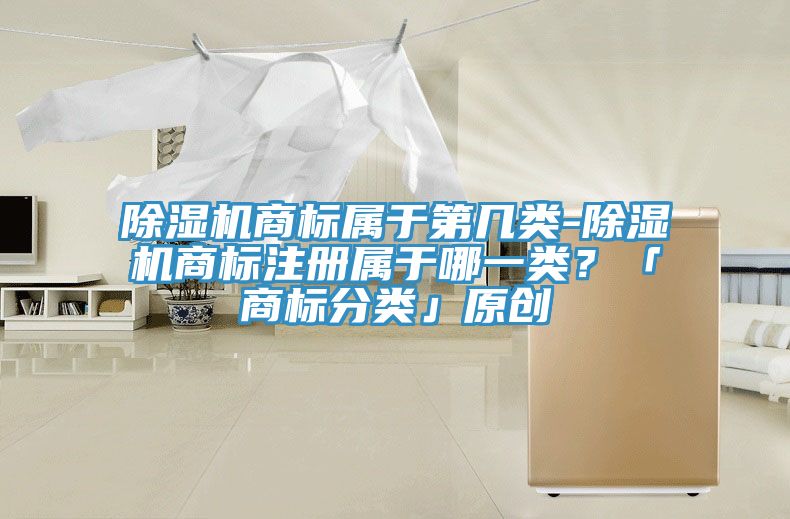 小黄片直播视频商标属于第几类-小黄片直播视频商标注册属于哪一类？「商标分类」原创