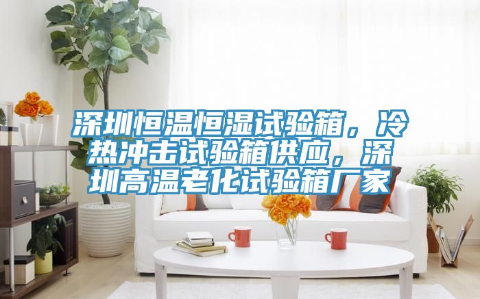 深圳恒温恒湿试验箱，冷热冲击试验箱供应，深圳高温老化试验箱厂家