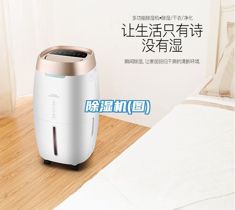 小黄片直播视频(图)
