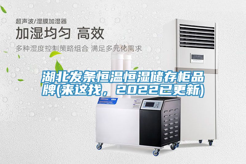 湖北发条恒温恒湿储存柜品牌(来这找，2022已更新)