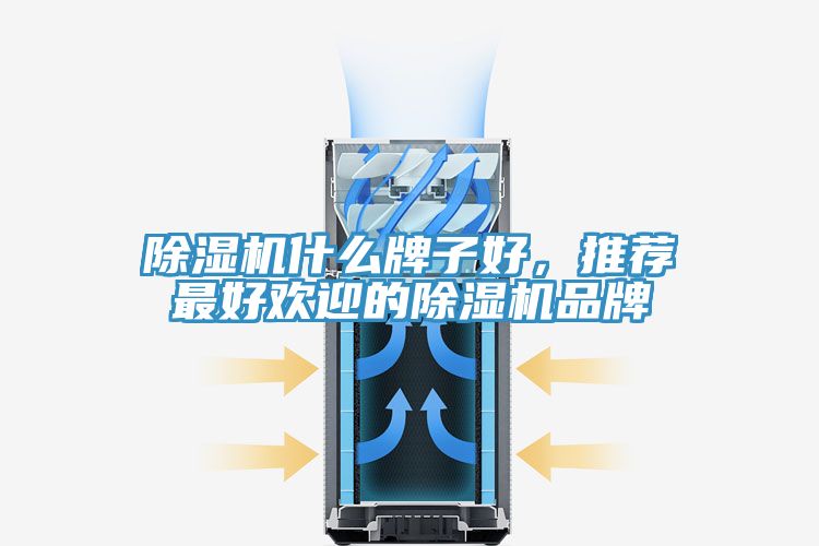 小黄片直播视频什么牌子好，推荐最好欢迎的小黄片直播视频品牌