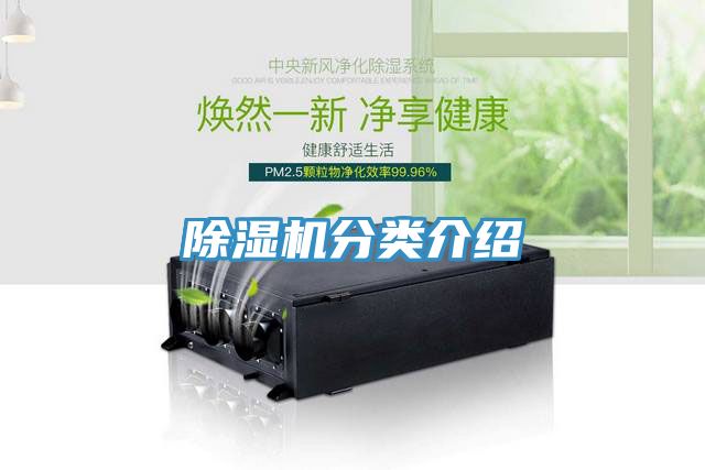 小黄片直播视频分类介绍