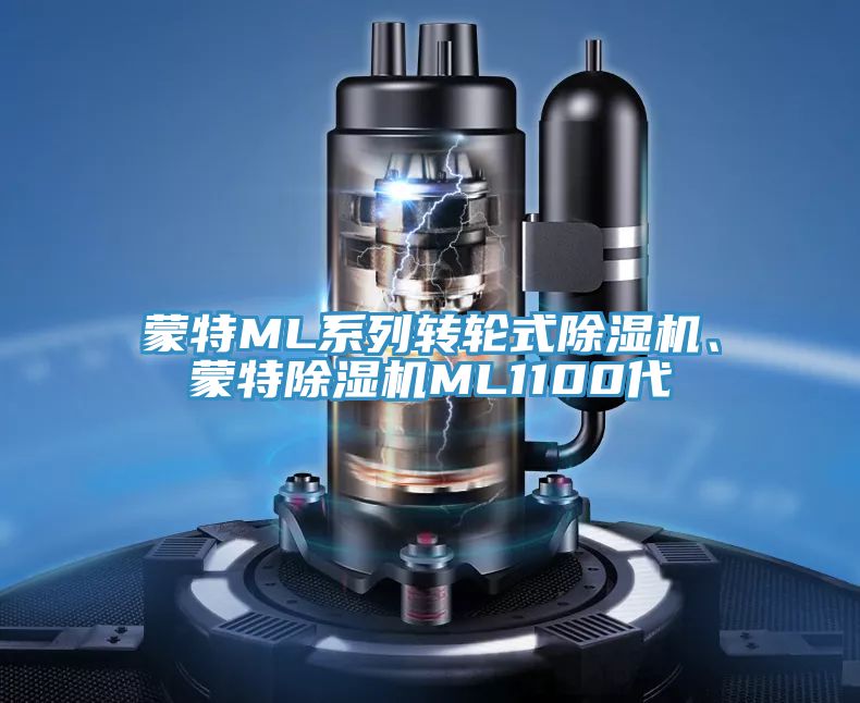 蒙特ML系列转轮式小黄片直播视频、蒙特小黄片直播视频ML1100代