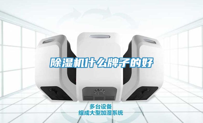 小黄片直播视频什么牌子的好