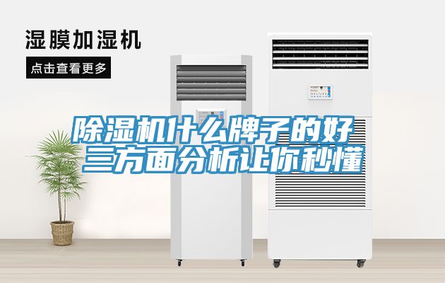 小黄片直播视频什么牌子的好 三方面分析让你秒懂