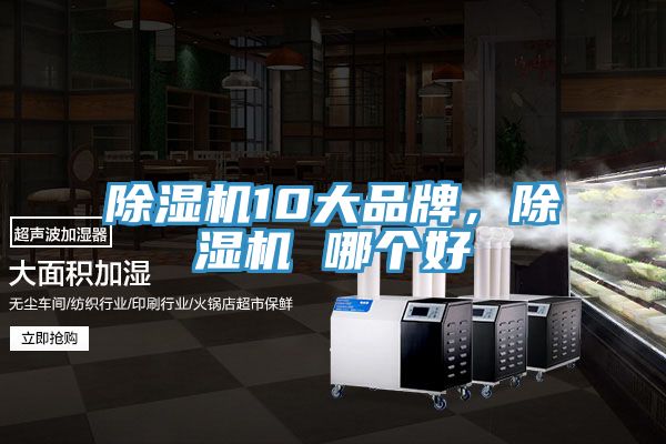 小黄片直播视频10大品牌，小黄片直播视频 哪个好