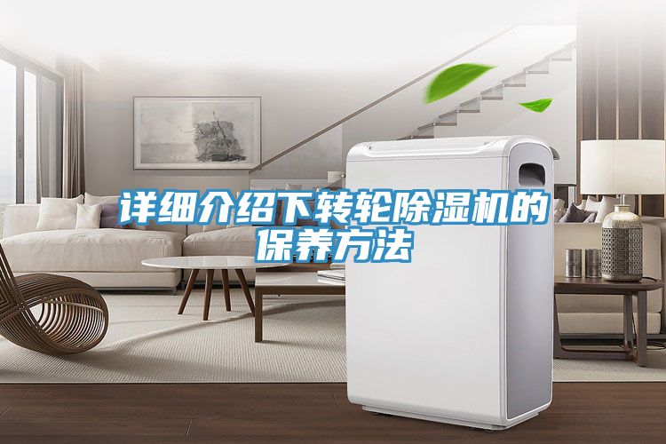 详细介绍下转轮小黄片直播视频的保养方法