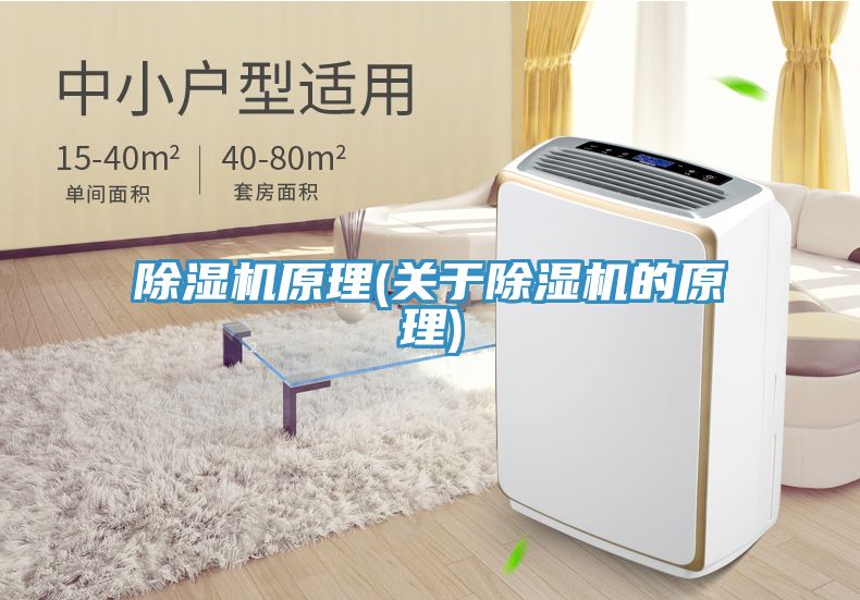 小黄片直播视频原理(关于小黄片直播视频的原理)