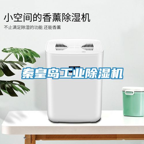 秦皇岛工业小黄片直播视频