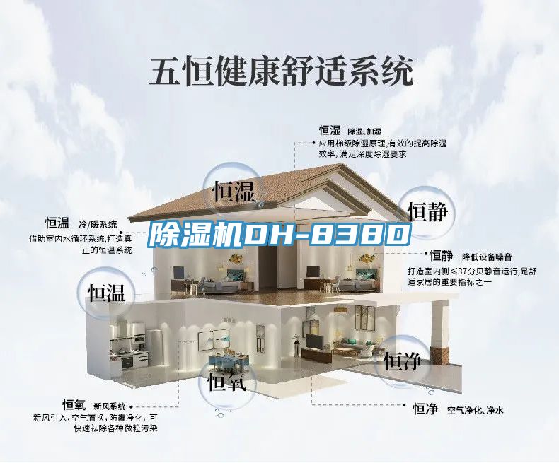 小黄片直播视频DH-838D