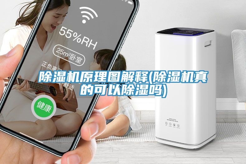 小黄片直播视频原理图解释(小黄片直播视频真的可以除湿吗)