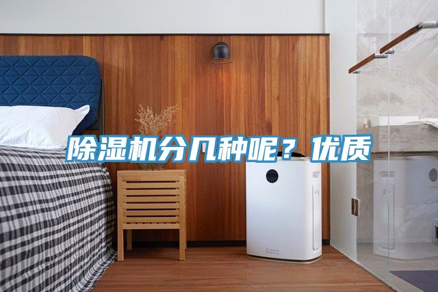 小黄片直播视频分几种呢？优质