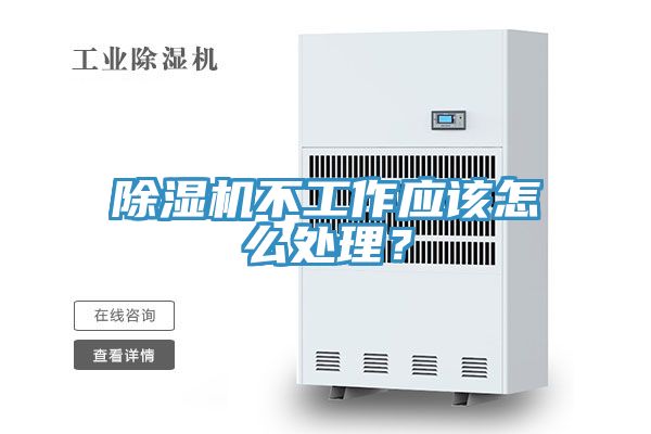 小黄片直播视频不工作应该怎么处理？