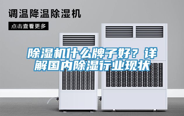 小黄片直播视频什么牌子好？详解国内除湿行业现状