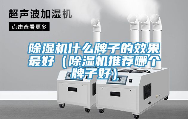 小黄片直播视频什么牌子的效果最好（小黄片直播视频推荐哪个牌子好）