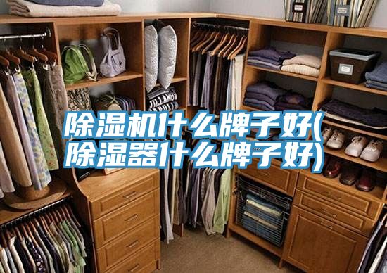 小黄片直播视频什么牌子好(除湿器什么牌子好)