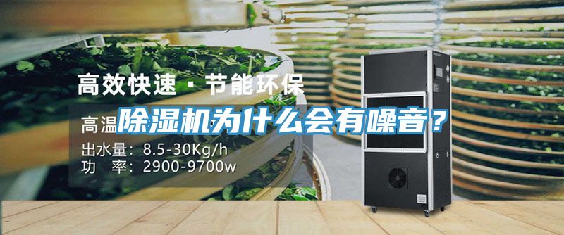 小黄片直播视频为什么会有噪音？