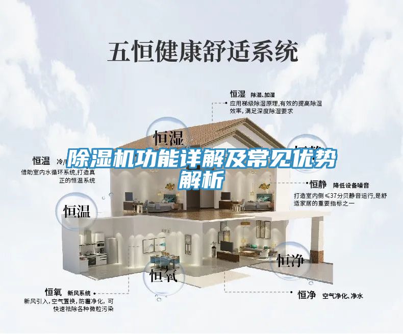 小黄片直播视频功能详解及常见优势解析