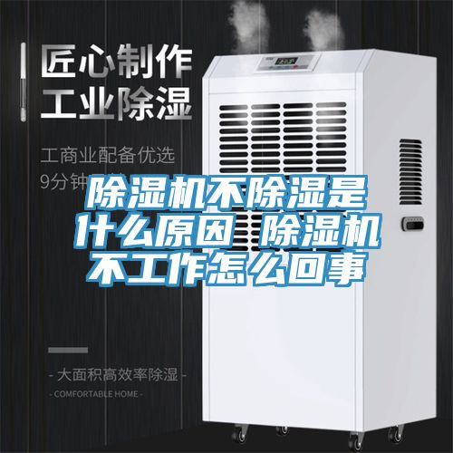 小黄片直播视频不除湿是什么原因 小黄片直播视频不工作怎么回事