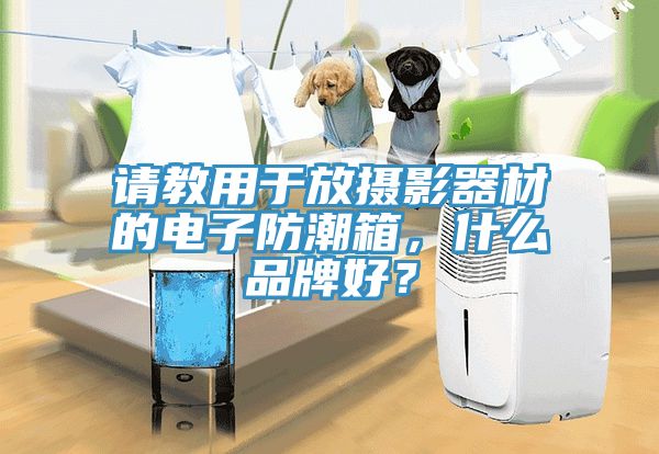 请教用于放摄影器材的电子防潮箱，什么品牌好？