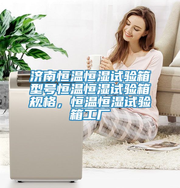 济南恒温恒湿试验箱型号恒温恒湿试验箱规格，恒温恒湿试验箱工厂