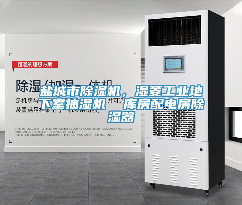 盐城市小黄片直播视频，湿菱工业地下室抽湿机  库房配电房除湿器
