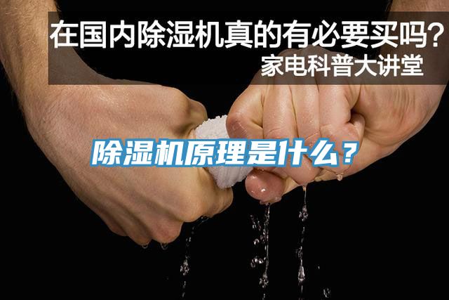 小黄片直播视频原理是什么？