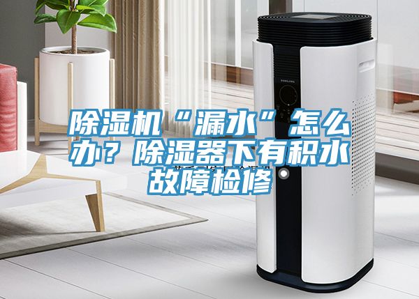 小黄片直播视频“漏水”怎么办？除湿器下有积水故障检修