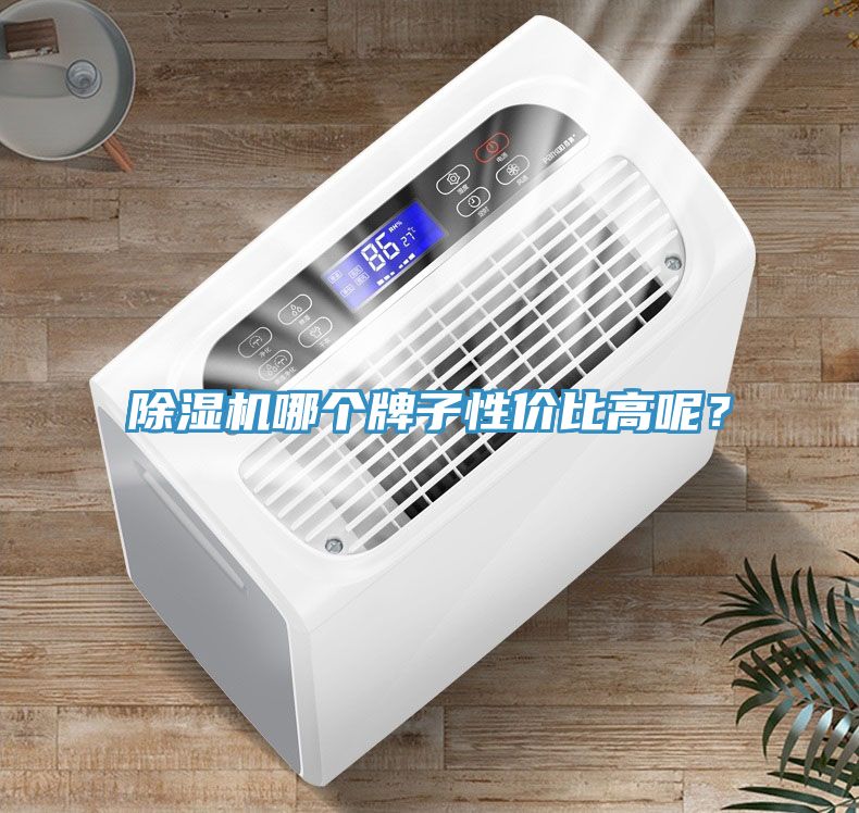 小黄片直播视频哪个牌子性价比高呢？