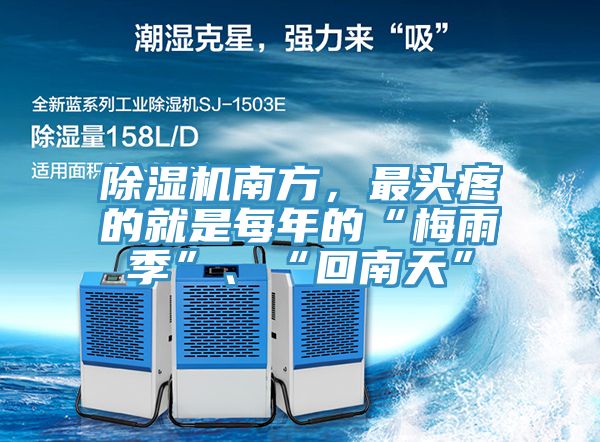 小黄片直播视频南方，最头疼的就是每年的“梅雨季”、“回南天”