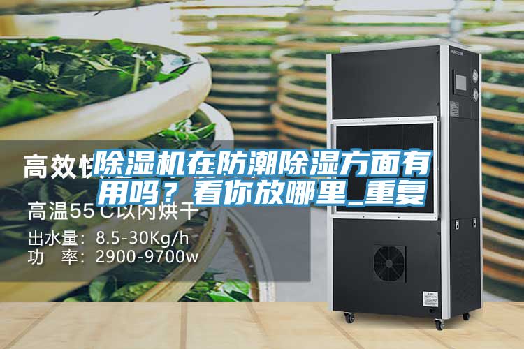 小黄片直播视频在防潮除湿方面有用吗？看你放哪里_重复