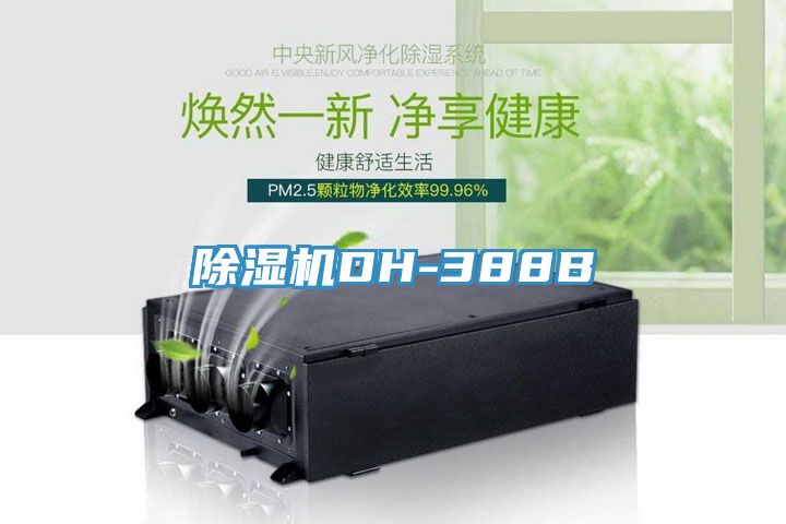 小黄片直播视频DH-388B