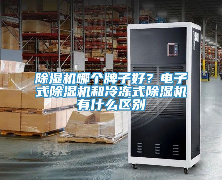 小黄片直播视频哪个牌子好？电子式小黄片直播视频和冷冻式小黄片直播视频有什么区别