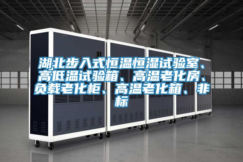 湖北步入式恒温恒湿试验室、高低温试验箱、高温老化房、负载老化柜、高温老化箱、非标
