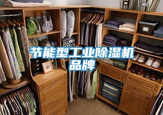 节能型工业小黄片直播视频品牌