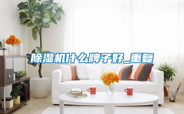 小黄片直播视频什么牌子好_重复