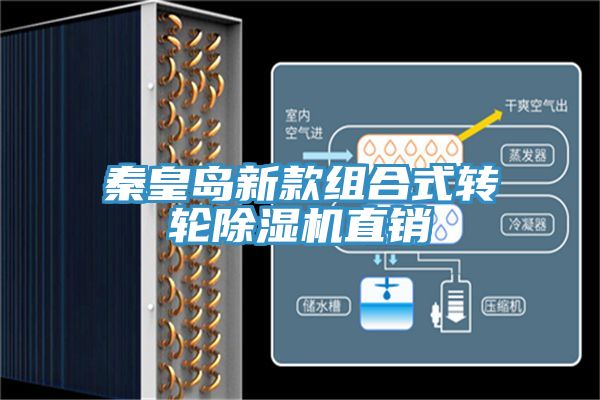 秦皇岛新款组合式转轮小黄片直播视频直销