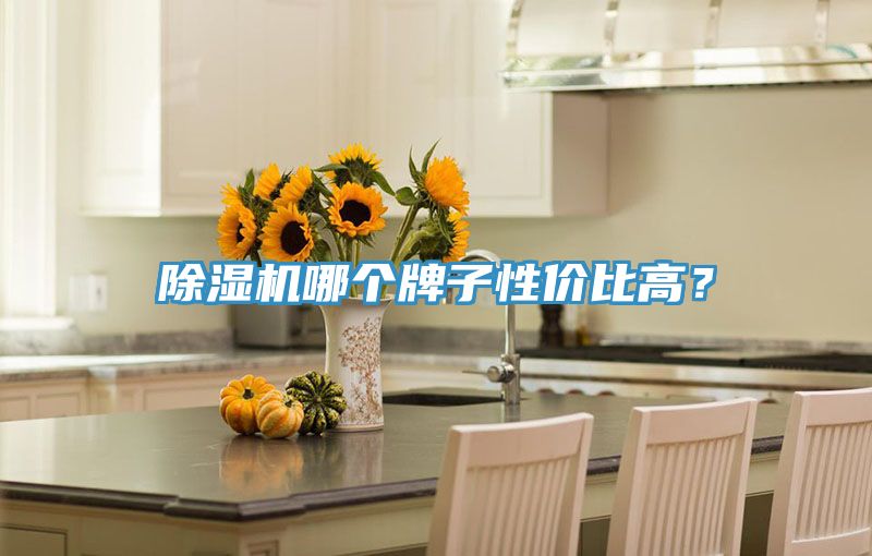 小黄片直播视频哪个牌子性价比高？