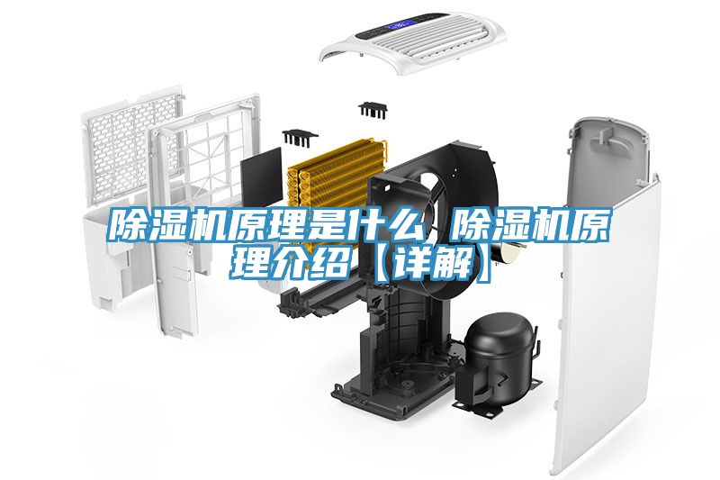 小黄片直播视频原理是什么 小黄片直播视频原理介绍【详解】