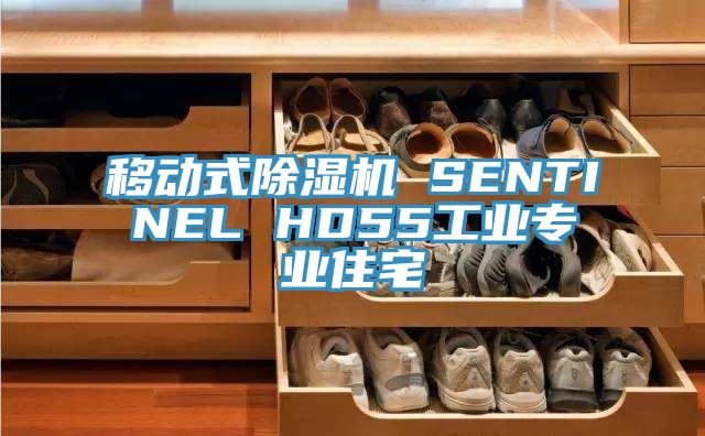 移动式小黄片直播视频 SENTINEL HD55工业专业住宅
