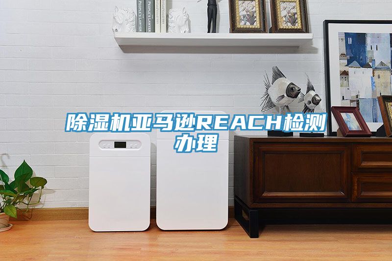 小黄片直播视频亚马逊REACH检测办理