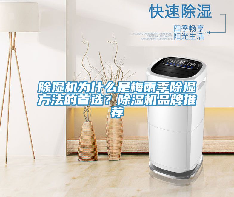 小黄片直播视频为什么是梅雨季除湿方法的首选？小黄片直播视频品牌推荐