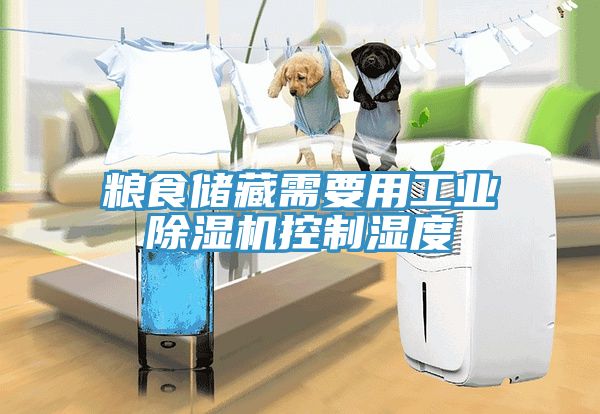粮食储藏需要用工业小黄片直播视频控制湿度
