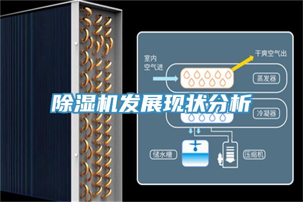 小黄片直播视频发展现状分析